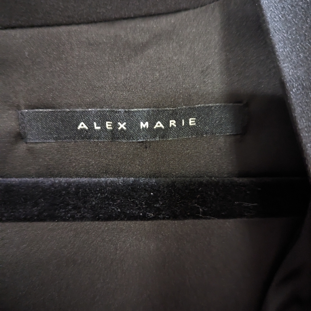 Alex Marie Iris V-Neck Satin Crepe Long Sleeve A-Line Dress - Picture 10 of 11